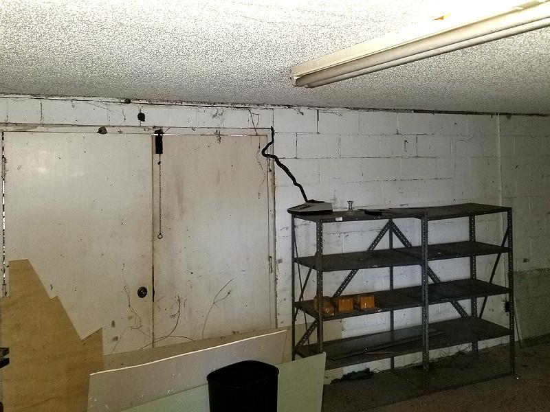 Rat snake on the wall