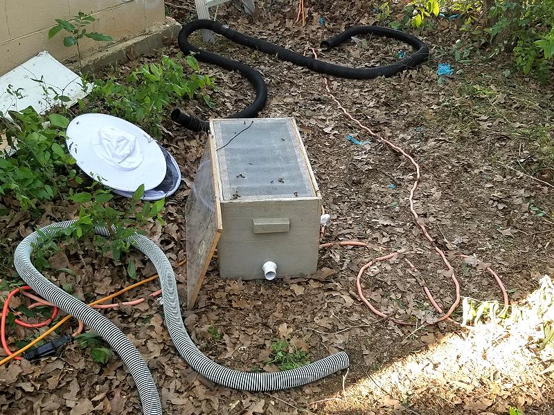 Beekeeper catching bees